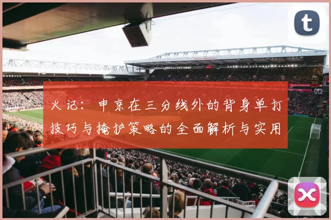 火记：申京在三分线外的背身单打技巧与掩护策略的全面解析与实用指南
