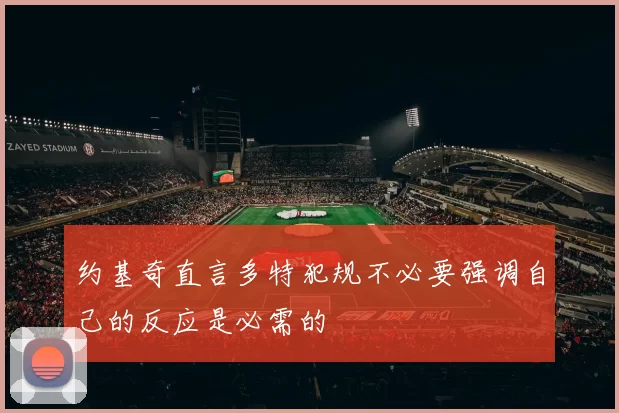 约基奇直言多特犯规不必要强调自己的反应是必需的